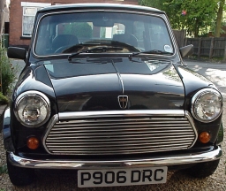 Merlin, (front)